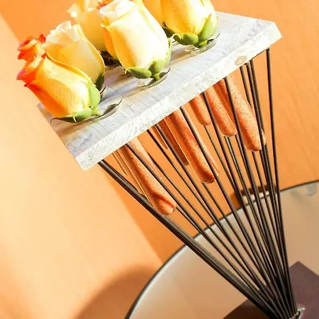 Bed & Breakfast Champagne Et D'hotes Pierre Trichet 3*