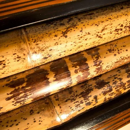 Champagne Et D'hotes Pierre Trichet