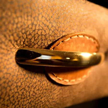 Bed & Breakfast Champagne Et D'hotes Pierre Trichet Trois-Puits