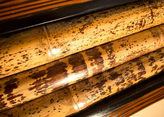 Champagne Et D'hotes Pierre Trichet